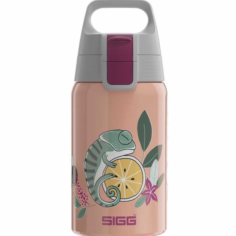 德国直邮Sigg18/8不锈钢儿童水杯中小学生水壶便携防漏500ml无BPA