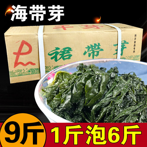 火锅海带芽9斤盐渍非干货