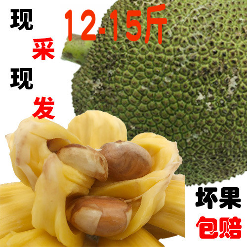 泰国菠萝蜜新鲜水果菠萝假榴莲味干苞木大树波罗密12-15斤包邮脆