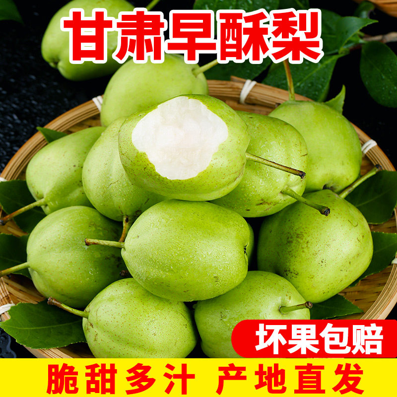 【产地直发】甘肃早酥梨香梨当季梨