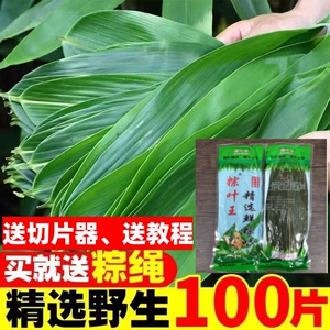 粽叶王包粽子专用新鲜粽子叶现摘现发大叶片真空包装送线100张