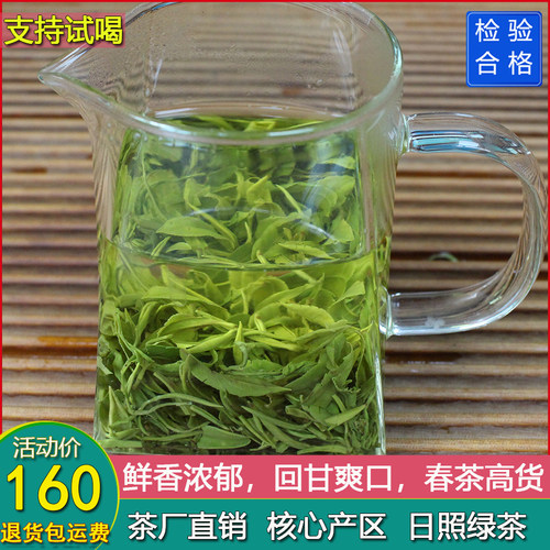 日照绿茶2025特级新春茶茶厂直销
