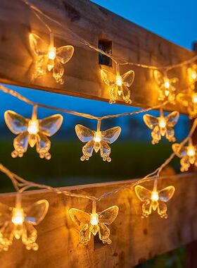透明蝴蝶LED灯串户外帐篷天幕露营装饰彩灯儿童乐园幼儿园串灯