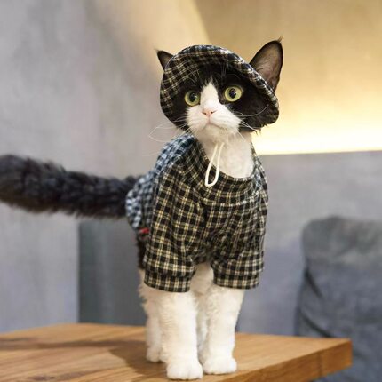 英伦风德文猫咪格纹带帽衣服无毛猫阿比猫暹罗猫渔夫帽衣服套装