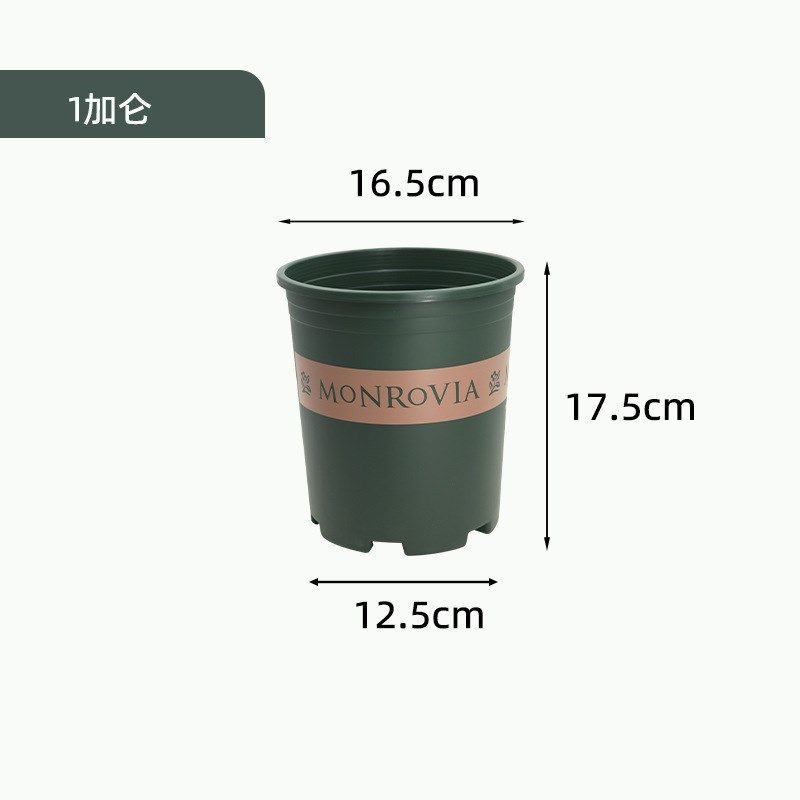 种绣球加仑花盆圆形塑料花盆月季树脂阳台养花种菜矮胖多肉花盆,鲜花速递/花卉仿真/绿植园艺,育苗盘/营养钵,淘宝优惠券,粉丝福利购,淘宝优惠卷