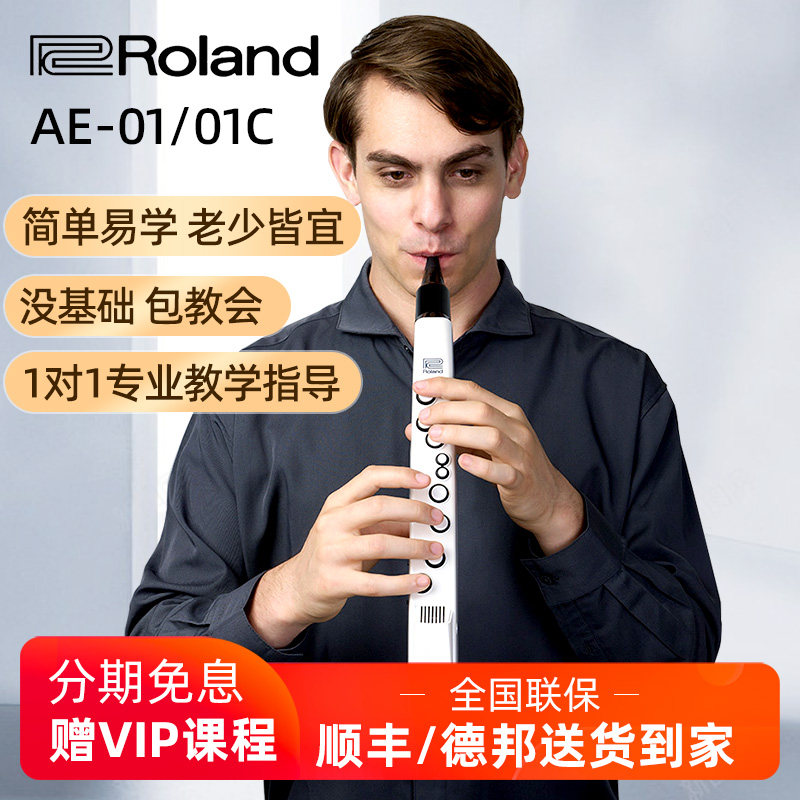 罗兰电吹管AE-01/01C/05成年初学萨克斯管乐器专业演奏扬声器SAX在类目 乐器/吉他/钢琴/配件, MIDI乐器/电脑音乐, 电子吹管中 - 来自Buy2taobao.com提供专业的淘宝代购服务