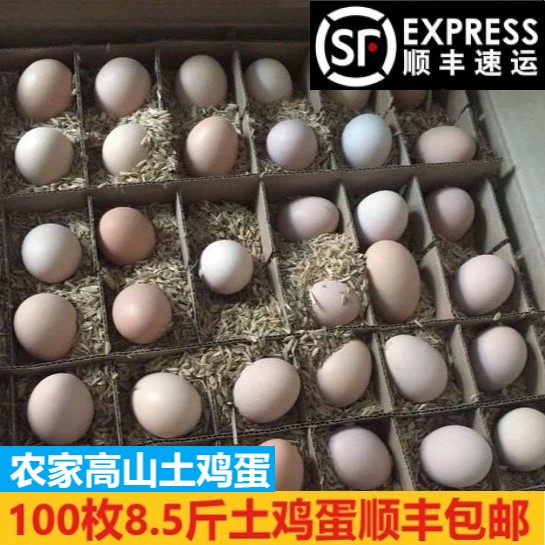 100枚包邮初生蛋正宗草鸡蛋土鸡蛋新鲜农家纯散养笨鸡蛋当日现捡