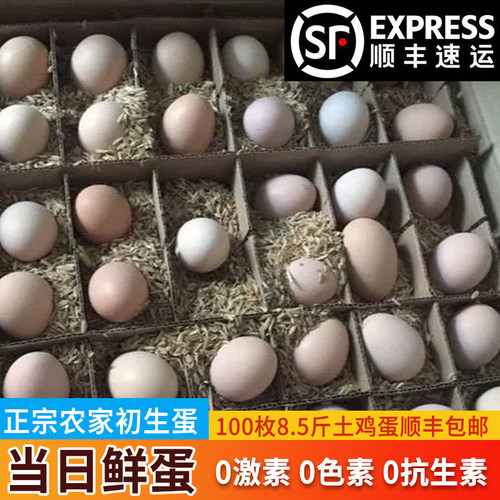 100枚包邮初生蛋正宗笨鸡蛋农家