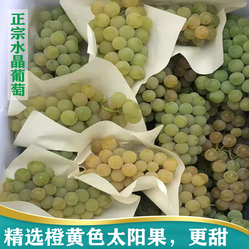 水晶葡萄新鲜水果青铺绿葡萄绿应季现摘现发3斤净重云南包邮贵州