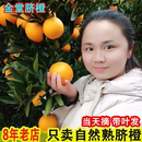 当季 包邮 水果手剥冰糖甜橙子 四川金堂三溪脐橙新鲜9斤大果 现摘