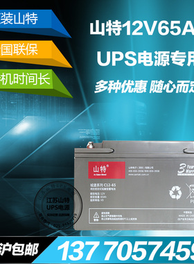 山特UPS电源蓄电池12V65AH/NP65-12免维护铅酸太阳能发电直流屏