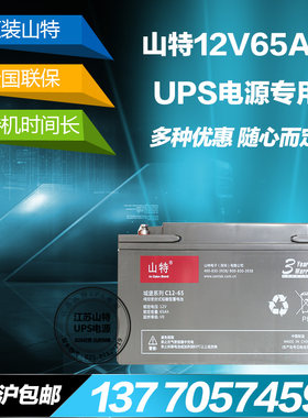 山特ups直流屏65AH铅酸