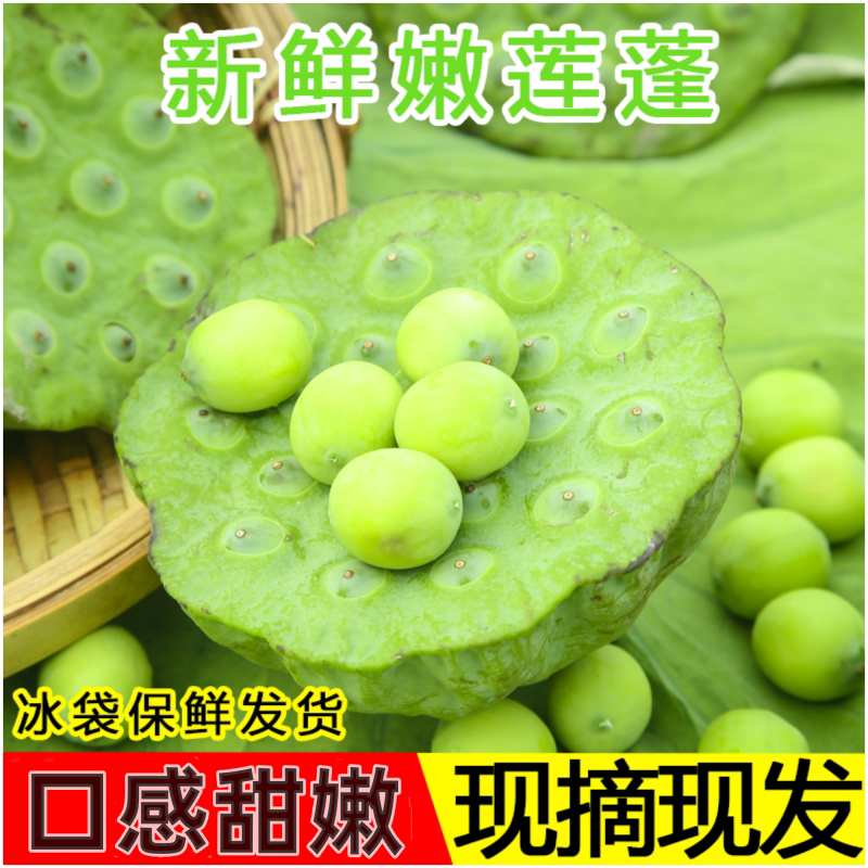 2025新鲜莲蓬现摘生吃3斤嫩甜莲子米孕妇水果当季农家发湖北特产