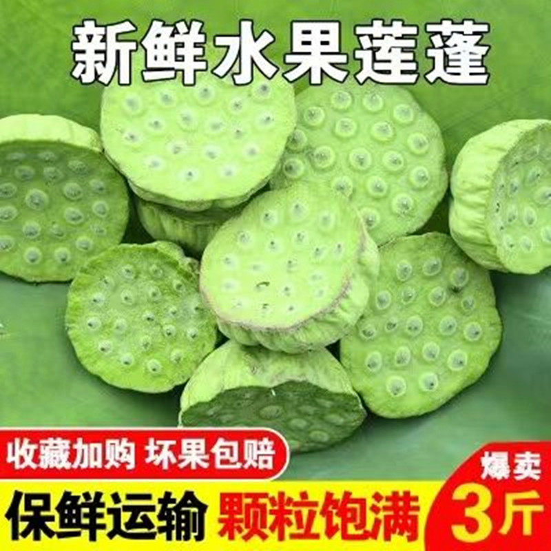 湖北新鲜莲蓬现挖现发生吃莲子米
