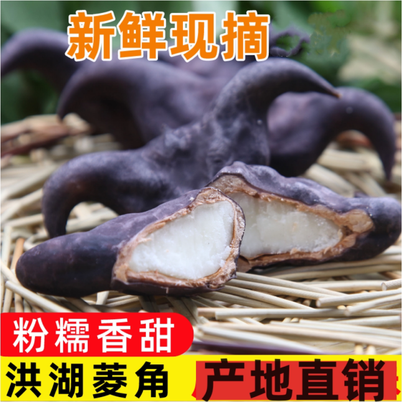 洪湖新鲜生老菱角现摘粉糯现发5