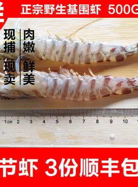 吕四野生竹节虾基围虾