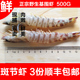 吕四野生基围虾海虾鲜货鸡尾虾大明虾斑节虾竹节虾