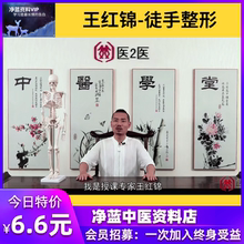 王红锦徒手整形 面部班身体班 高清视视培训课程