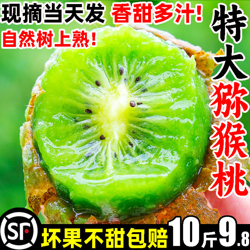 【顺丰】香甜绿心猕猴桃10斤18.8