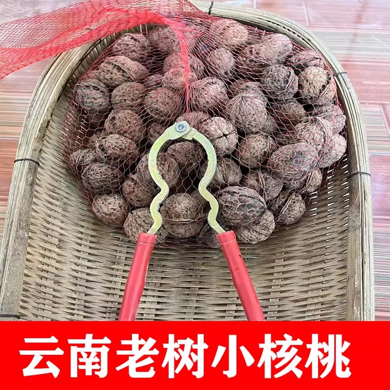 云南大理手工剥皮核桃2/5斤包邮 老树薄皮核桃