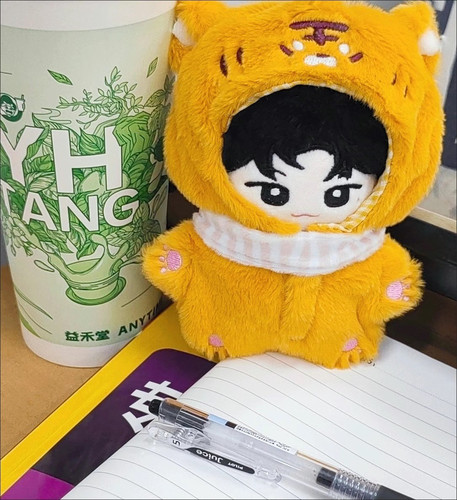 10cm娃衣棉花娃娃可爱小老虎帽子围巾套装毛绒玩偶公仔换装