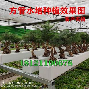 PVC方管水培种植方形下水落水雨水方管排水道具管路政护栏105*80