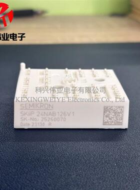 SKIIP23NAB126V1 SKIIP24NAB12T4V1 SKIIP23NAB126V10 24NAB126V1