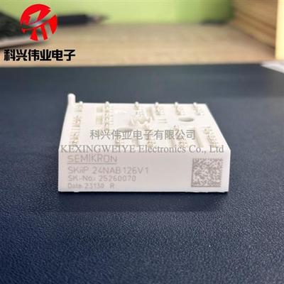 SKIIP23NAB126V1 SKIIP24NAB12T4V1 SKIIP23NAB126V10 24NAB126V1