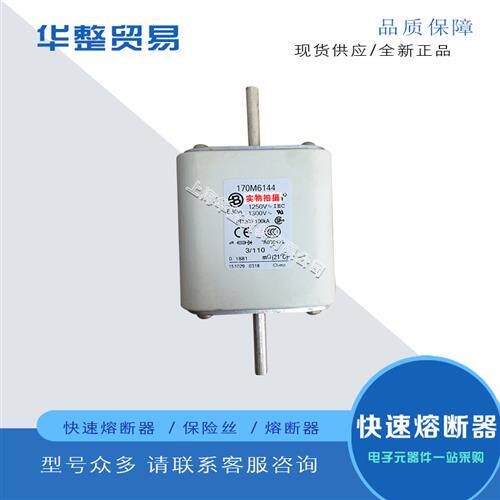 巴斯曼全新原装快速熔断器170M6138 170M6139 170M6140 170M6141
