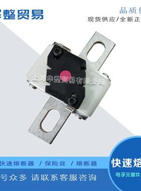 巴斯曼快速熔断器170M6666 170M6667 170M6668 170M6669