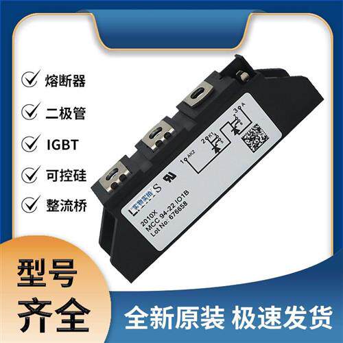 MCC 94-22 IO1B 艾赛斯 可控硅模块  质量保证 极速发货