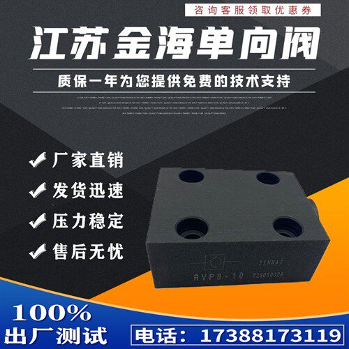 新款板式止逆阀 RVP6-10B RVP8 RVP10 12 RVP16 RVP20 25现货