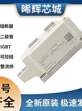 SKKH 250-16E 半可控硅 晶闸管模块 极速发货 现货可直拍