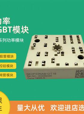 全新功率IGBT模块SKiiP22NAB12T17 SKiiP22NAB12T18