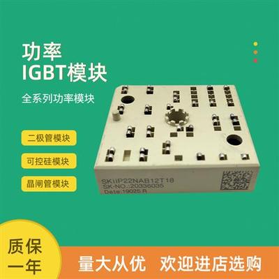 全新功率IGBT模块SKiiP22NAB12T17 SKiiP22NAB12T18