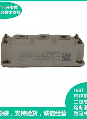 原装进口ISKM200GBD126D SKM200GBD123D1S SKM200GBD126D1S