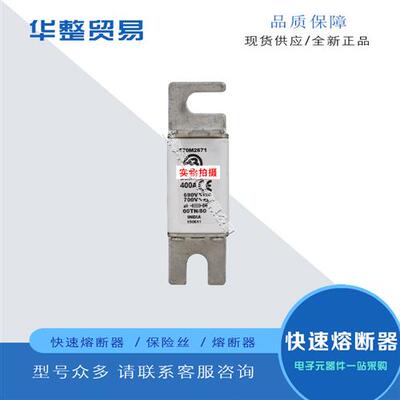 巴斯曼全新原装正品快速熔断器保险丝170M2671