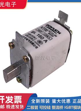 熔断器NT00C NH00C gL 100A RT16-00C RT20 RO30A 100A熔断器