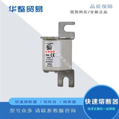 巴斯曼快速熔断器170M2029 170M2030 170M2031 170M2032