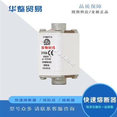 巴斯曼熔断器保险丝全新原装正品 170M2719