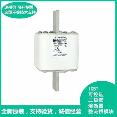 快速熔断器保险丝170M8644-8645-8646-8647-8648-8649-8650现货