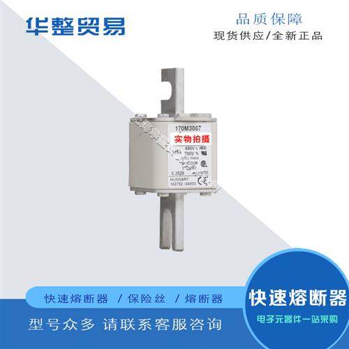 巴斯曼快速熔断器保险丝170M3058 170M3059 170M3060 170M3061