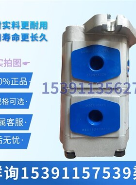 新款合肥皖液CBTLDF-F308/F303-AL4液压齿轮油泵压力双联油现货