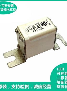 170M2619美国Bussmann170M2619快速熔断器保险丝