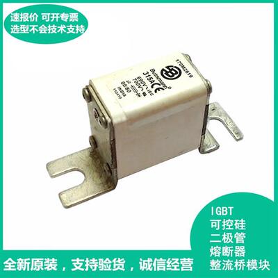 170M2619美国Bussmann170M2619快速熔断器保险丝