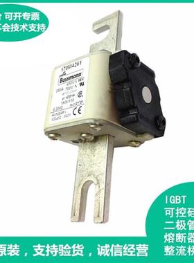 170M4261美国Bussmann巴斯曼170M4261快速熔断器保险丝