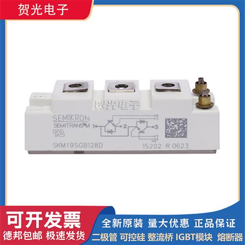 全新SKM145GB126DN SKM195GB126DN SKM75GB128D西门康IGBT模块 - 实物图
