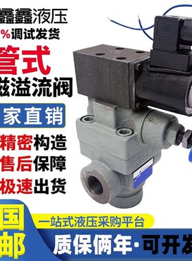 新款管式电磁溢流阀YFEH-L20H4液压阀泵站YFDO-L20H4调压阀YF现货