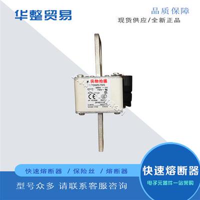 巴斯曼全新原装快速熔断器170M5741 170M5742 170M5743