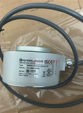 ENI90PL-H25JA5-1024UD1-RC1倍加福增量编码器(70110982-100085)